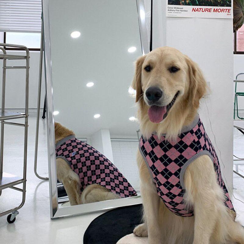 BARKDOG High Teen Argyle Vest