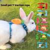 Cartoon Fruit Harness Rabbit Cat Harness And Leash Set Adjustable Pet Harnesses For Small Animals Outdoor Walking Traction Rope