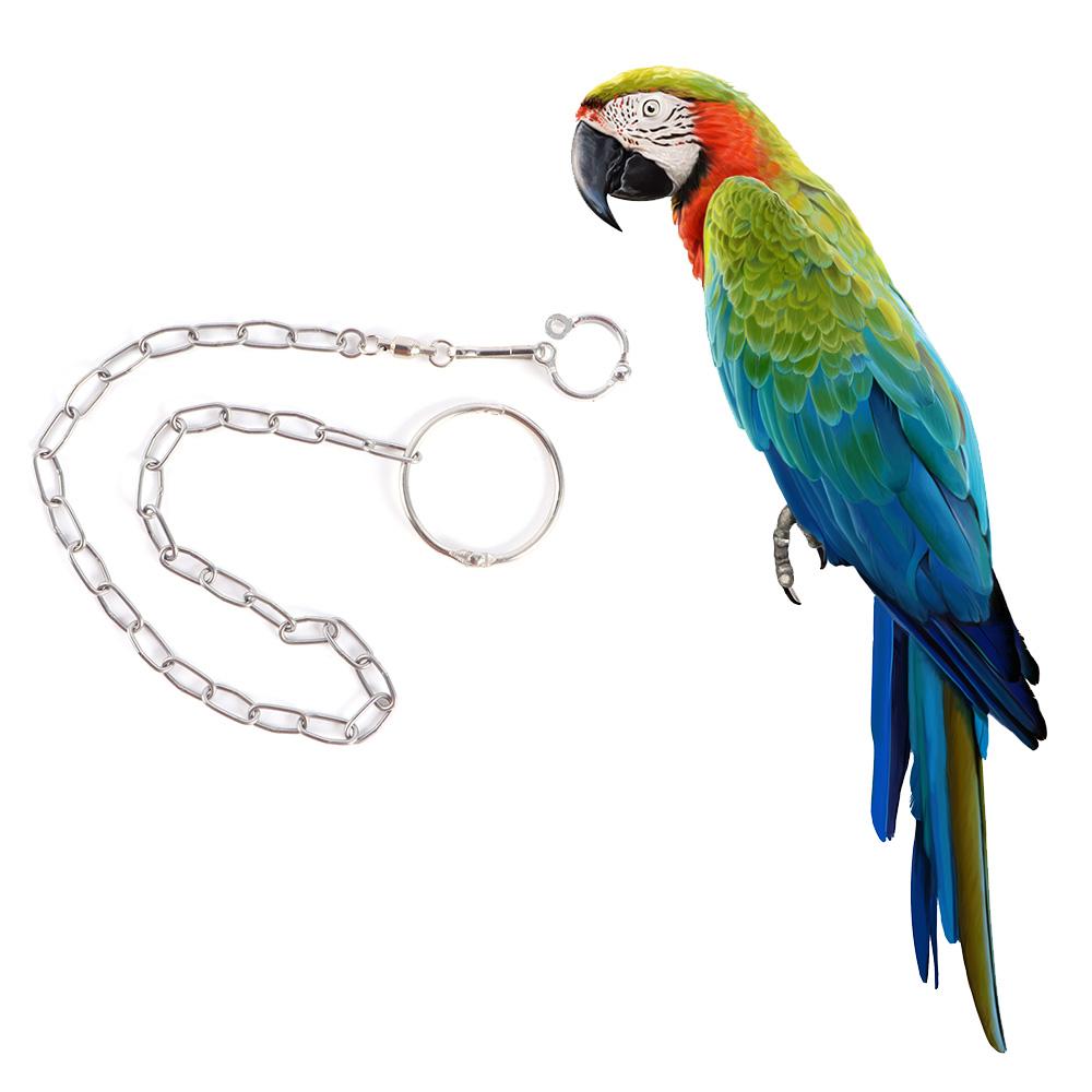 Lovebirds Parakeets Stainless Steel Split Flying Training Leash Bird Foot Chain Harness Parrot Leg Ring