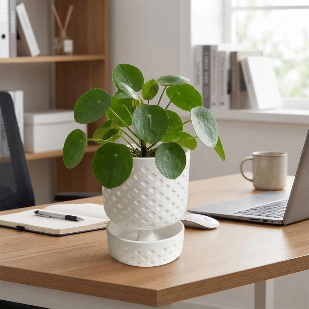 Plastic Succulent Plant Basin Root Control Green Onion Pots Plant Containers Green Plants