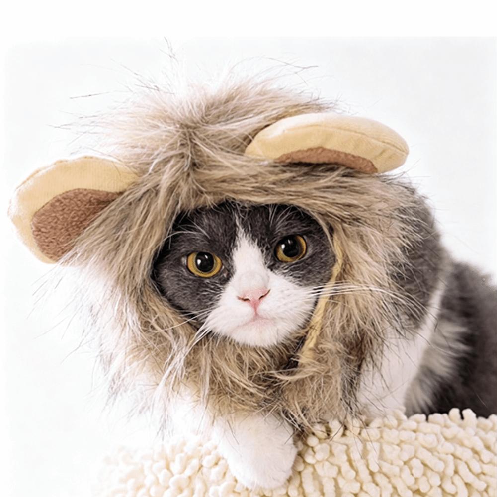 Rounded Ears Cat Mane Wig Lightweight Cat Mane Headpiece Mane Wig for Cat  Costume Party