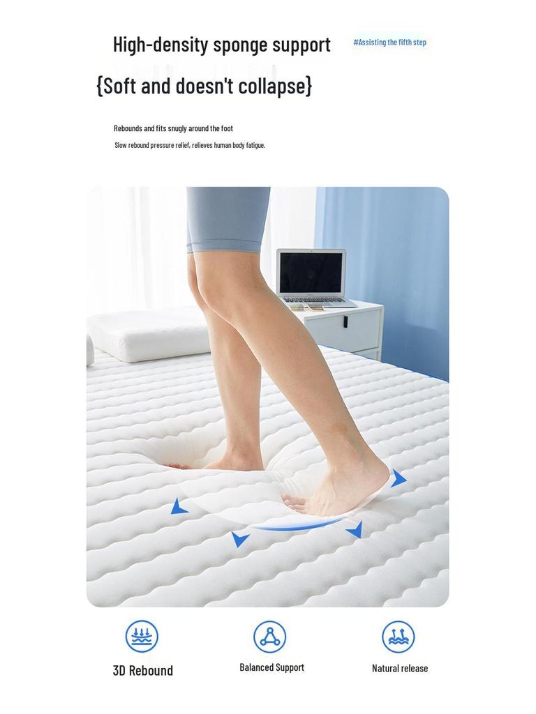 Student Dormitory Quilted Latex Mattress Pad - Thick 1.8m Tatami Bed Sponge