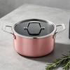 Deslon Enamel Cast Iron Dutch Oven