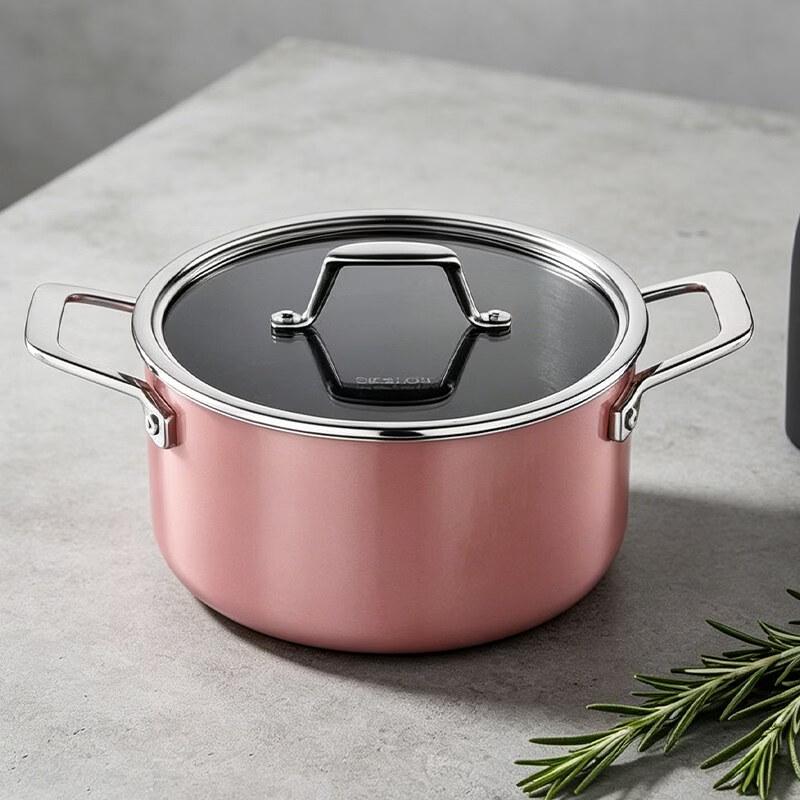 Deslon Enamel Cast Iron Dutch Oven