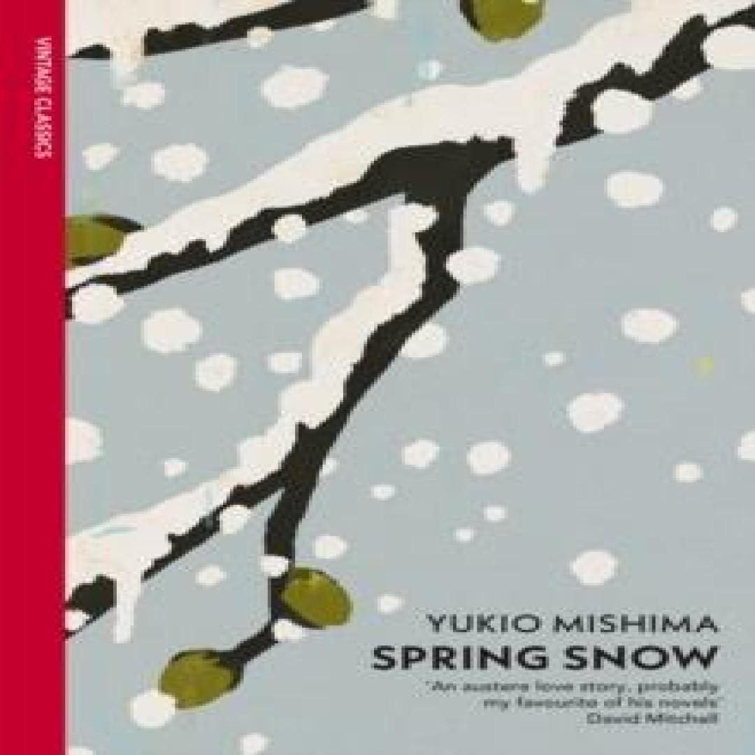 Frühlingsschnee von Yukio Mishima Taschenbuch 9780099282990