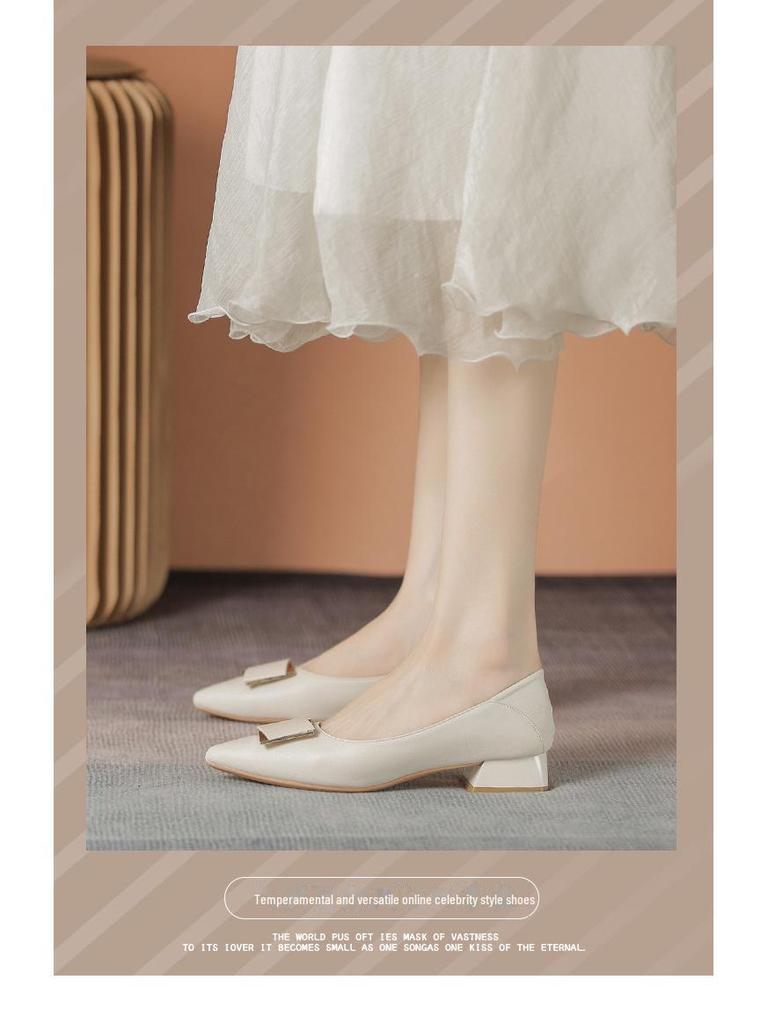 Women's Soft Leather Pointed Toe Mid-Heel Buckle Shoes for Spring/Autumn