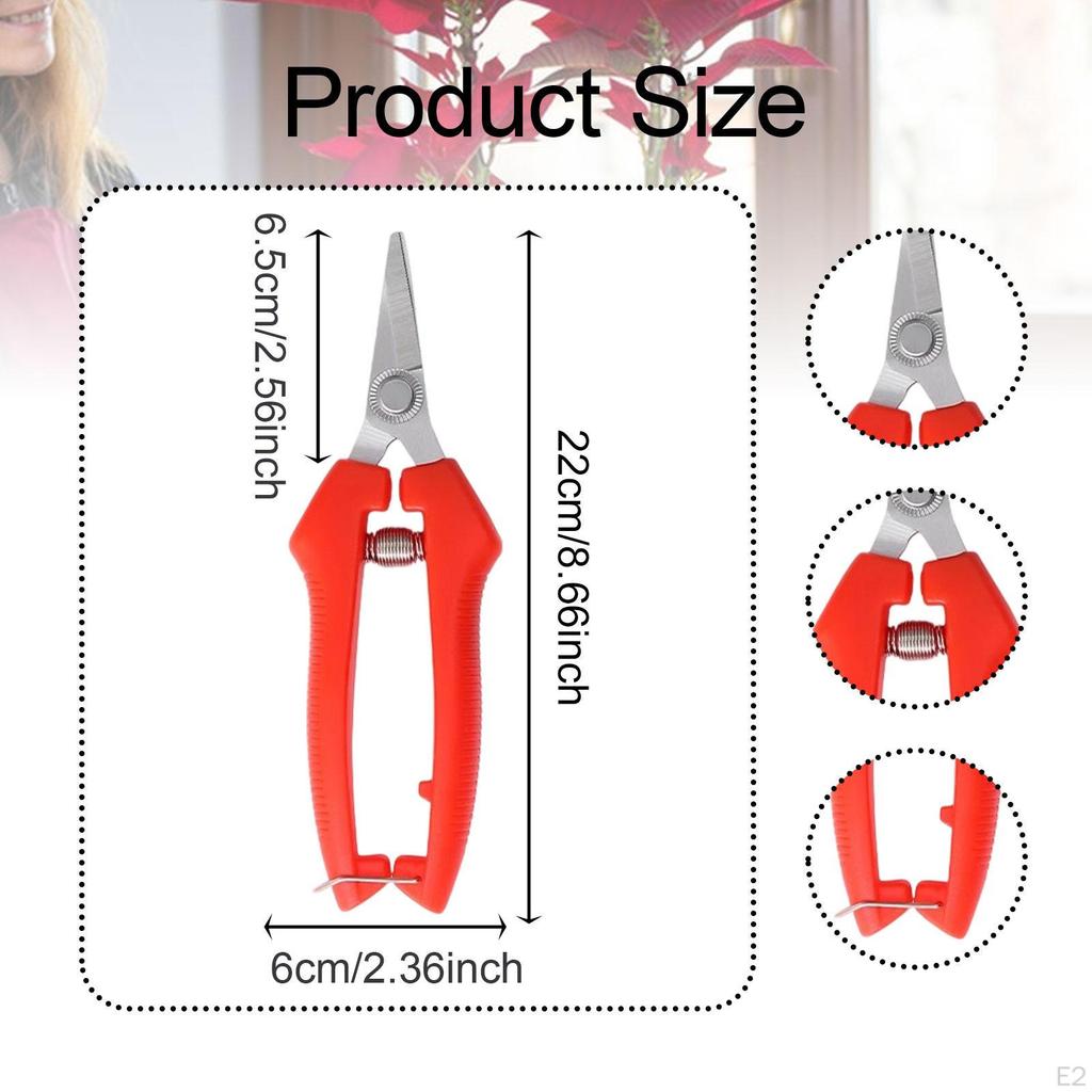 Cutting Shears for Garden Maintenance And