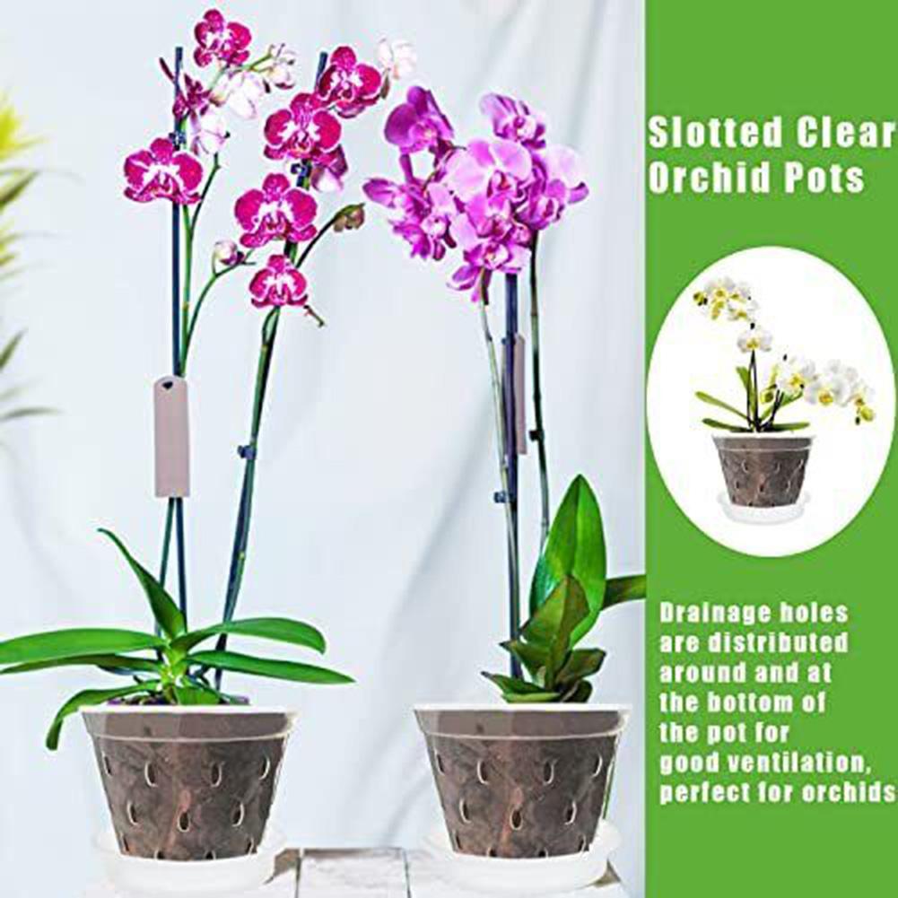 20 Vasi Per Piante In Plastica Trasparenti Con Base In Silicone, 10 Cm, Ideali Per Interni Ed Esterni, Perfetti Per Piantine E Talee