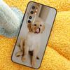 Golden Retriever Dog Case For Xiaomi 15 14 Ultra 13T 14T 15T 17 Pro Max Cover For POCO X7 F8 Pro X3 X5 X6 F5 F6 F7
