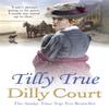 Tilly True by Dilly Court Paperback Book 9781784752538