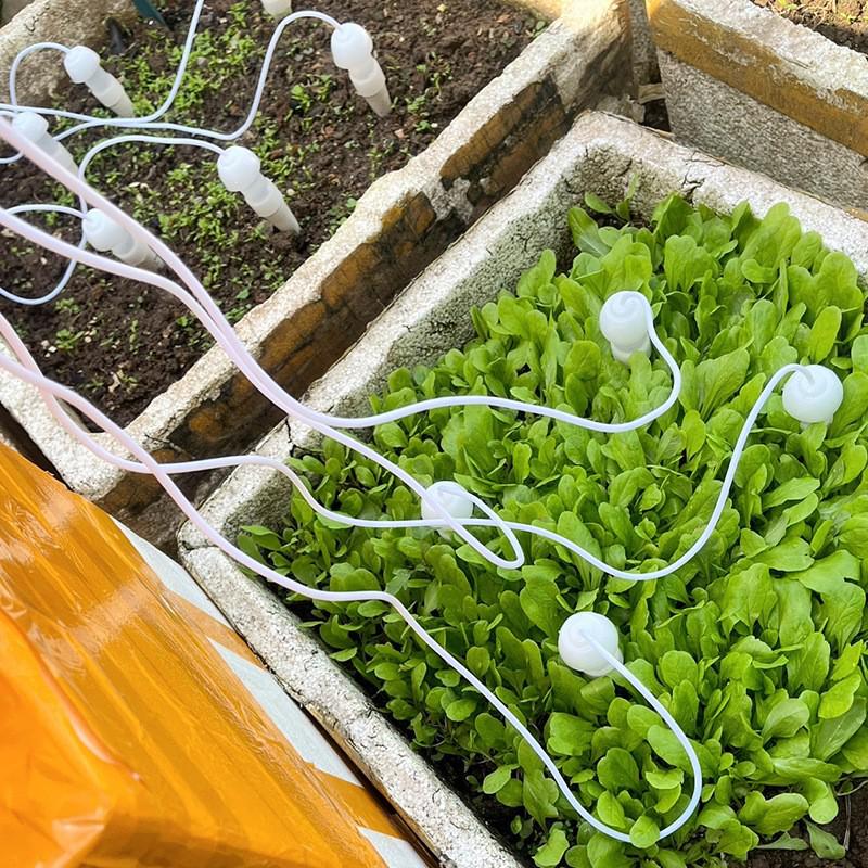 Automatic Drip Irrigation Device for Balcony Plants and Vegetables