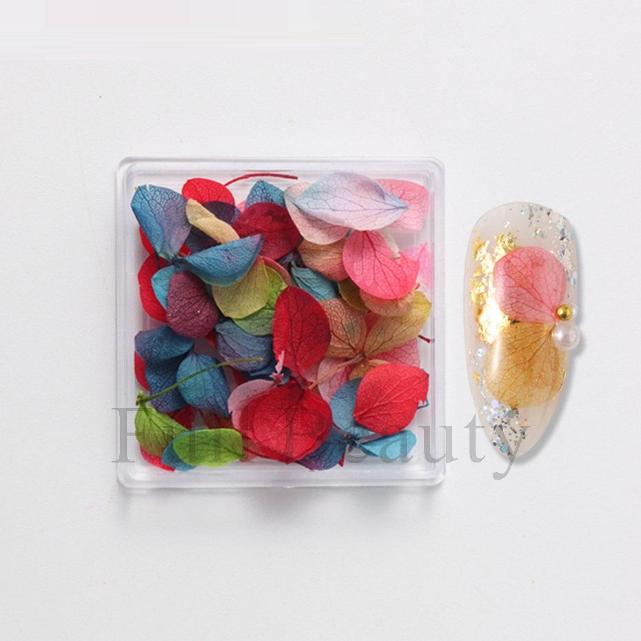 

1 коробка для ногтей, сушеные цветы, натуральные цветочные наклейки, смешанные сухие цветы, сделай сам, наклейки для дизайна ногтей, УФ-гель-лак для маникюра