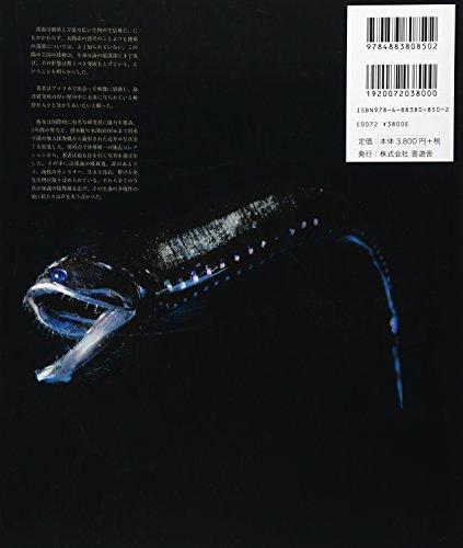 Deep Sea [The Strange and Colorful World of the Deep Sea]
