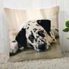 Pillowcase Dalmatians Pillowcase Modern Home Living Room Decoration Pillowcase Customizable