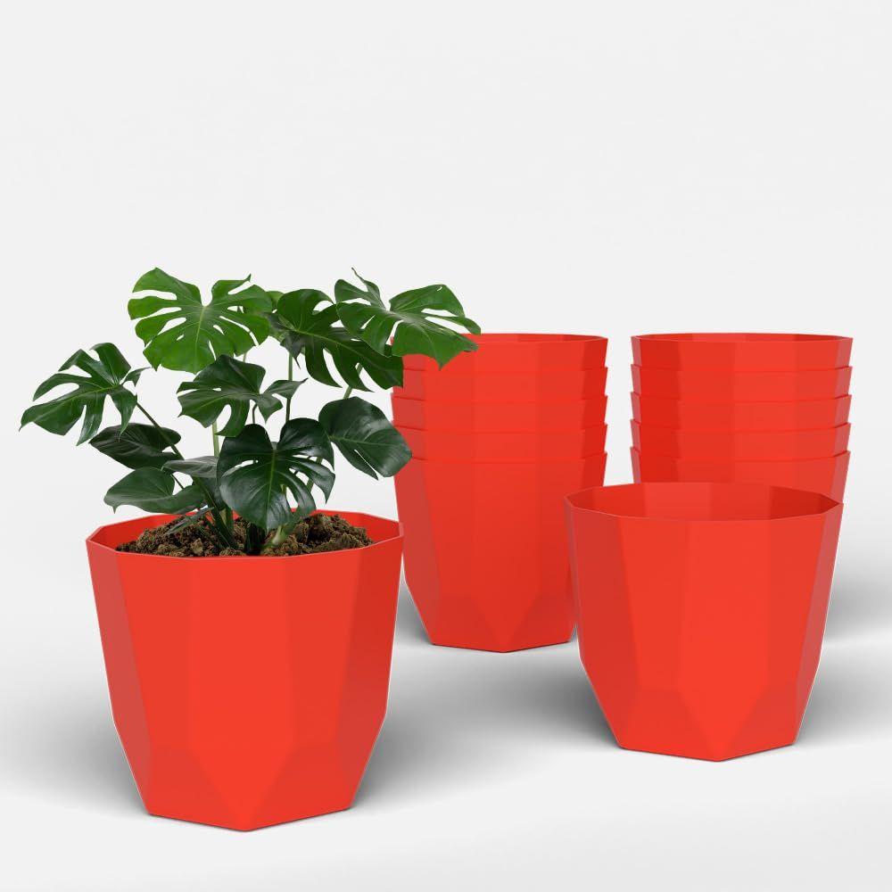 Hexa 6 Inch Pack of 12 Piece Plastic Plant Pot for Home Decor Indoor Plant Pots for Living Room Plastic Flower Pot for Garden (Red)