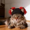 Fun Pet Dog Cat Leaky Ear Yarn Cap Rock Roll Funny Pet Decoration Headgear Pet Supplies Party Costume Apparel Accessories