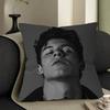 S-Shawn-Mendes Pop-Melodic Office Cushion Pillowcase Car Cushion Cover45X45CM Lumbar Pillowcase Sofa Pillowcover