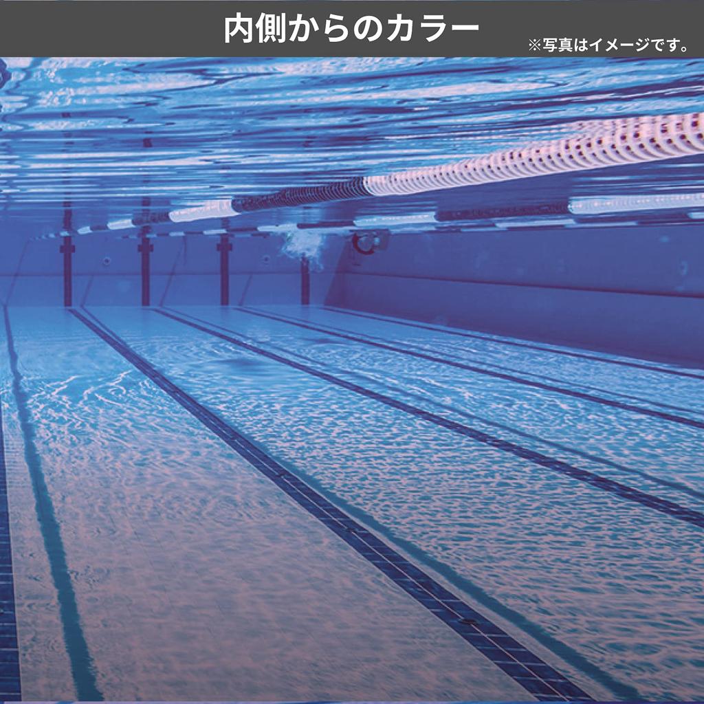 SWANS Japanese Made Swimming Goggles PICLA Pink Clear Fitness Adult FF (Swans) SW-30PAF