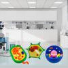 Educational Animal Plant Cell Anatomy Model Animal and Plant Cell Model Biology Teaching Aid