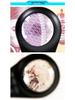 10x Antique Gem Appraisal Magnifier with 6 LED and 7 UV Lights