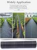 Complete Roll 100m 90GSM Farm Greenhouse Gardening Ground Fabric Vegetable Fruit Garden Grass Barrier Weed Control Mat