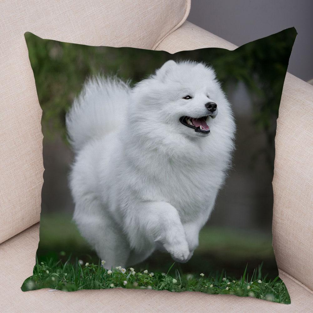 50 Stil Husă de Pernă Câine Alb Drăguț Samoyed Decor Husă de Pernă Animal de Companie Iubitor Husă de Pernă Moale de Pluș pentru Canapé Cameră Copii