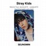 Stray Kids Dominare il Tour Mondiale : CELEBRA PORTAFOTO UFFICIALE FOTOCARTA