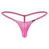 Pánské spodní prádlo tanga s průhlednou síťovinou Sexy průhledné pánské bikiny kalhotky s nízkým vzestupem