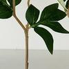 Künstliche Pfingstrosenblüten, 17 Zoll Realistische Kunstpfingstrose mit 1 Knospe, Lebensechtes Pfingstrosenbukett mit Stiel für Vasenarrangement, Tischdekoration für Hochzeiten, Innenbereich