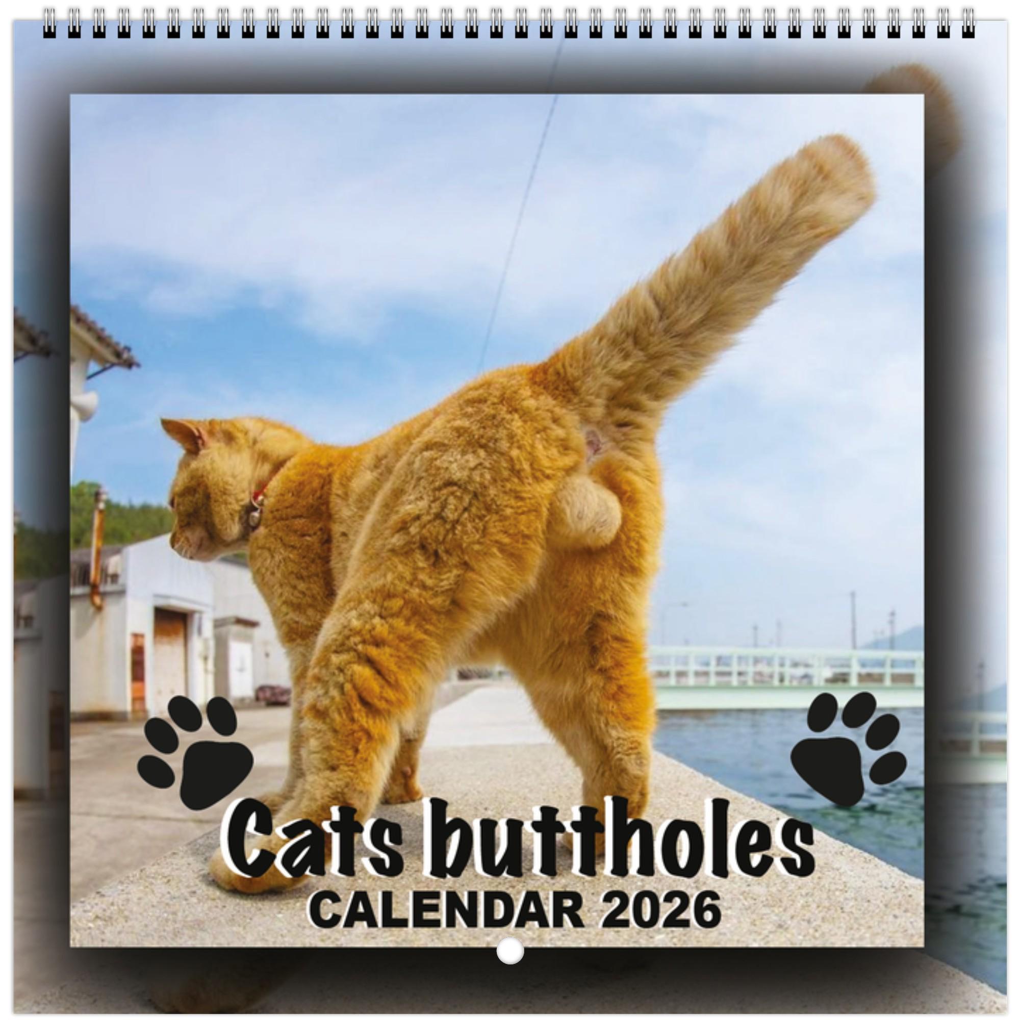 

2026 Cats Buttholes Wall Calendar - Hilarious Cat Calendar A Fun Novelty Item For Cat Enthusiasts And Gift Seekers Home Decor