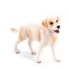 Dog Model Smell-less Solid PVC Realistic Dog Figure for Home