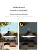Waterproof Solar-Powered Motion Sensor Outdoor Light for Courtyard or Roadway