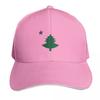 Old Original  Maine State Flag with Pine Tree and Star Baseball Cap Unisex Women Casual Summer Sport Sun Cap