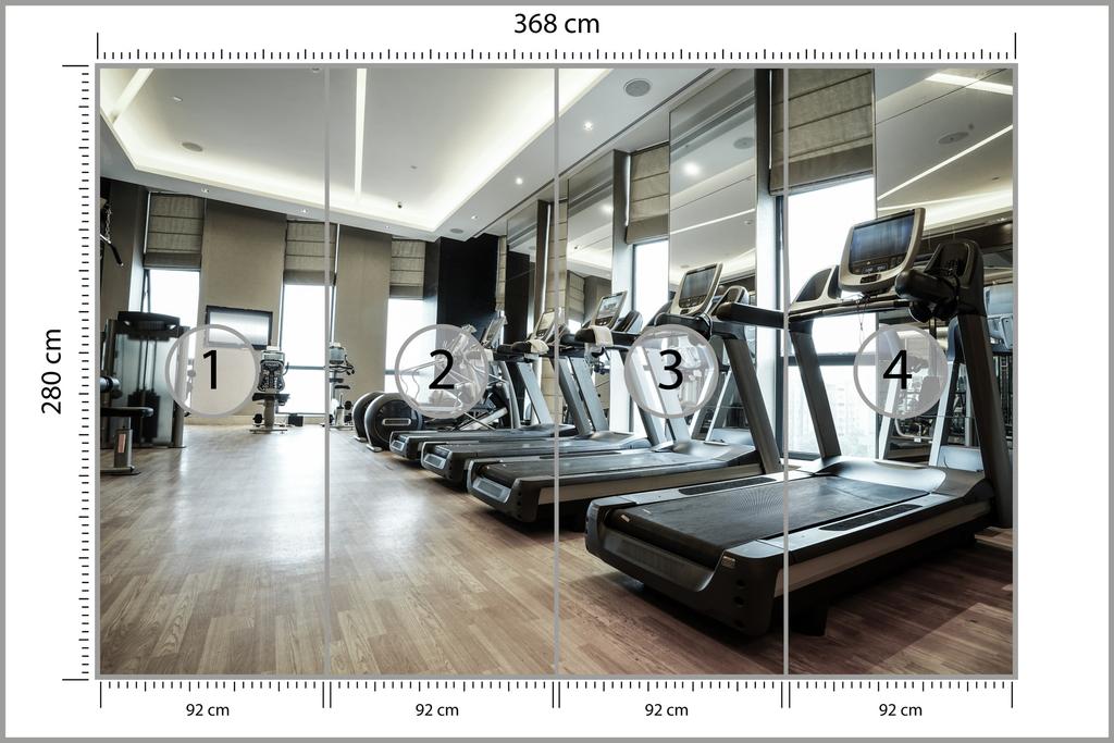 Photomural Modern Fitness Club Smooth Vinyl 368x280