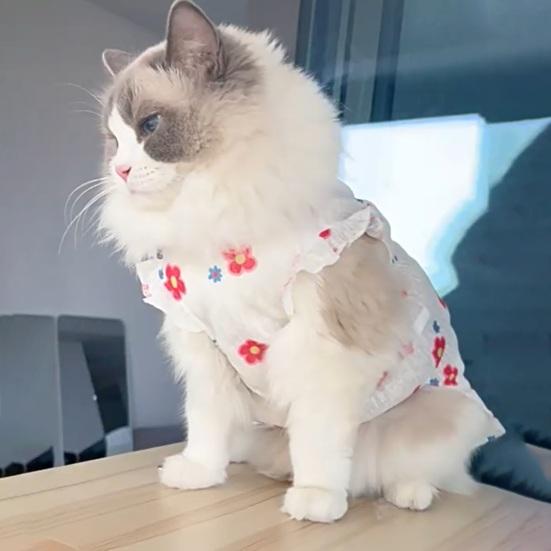 Summer Breathable Pet Clothes Flower Cherry Ice Cream Print Sleeveless Vest Pet Princess Skirt for Small Medium Girls Dogs Cats