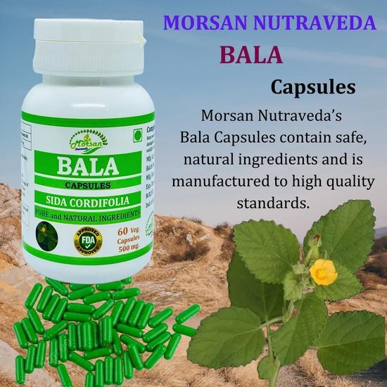 Morsan Nutraveda Bala (Sida Cordifolia) Extract Capsule - 60 Veg. Capsules X 500 Mg100% Herbal & High Potency (1 Pack of 60 Capsules)