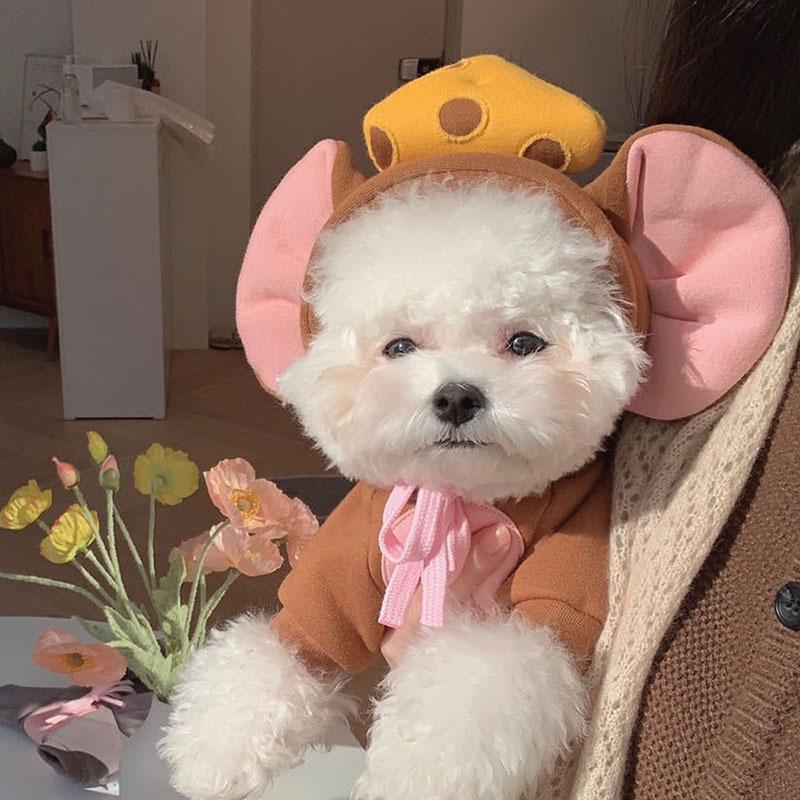 Spring and Autumn Thin Three-dimensional Mushroom Sweater Dog Clothes Funny Transformation Cat Small and Medium Dog Pet Dog Clothes