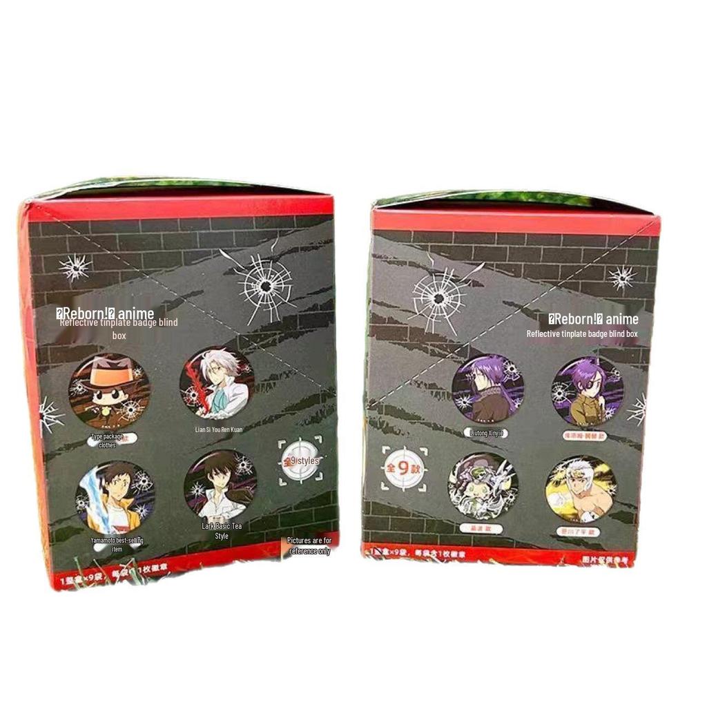 Reborn! Light and Shadow Series Anime Badge Blind Box