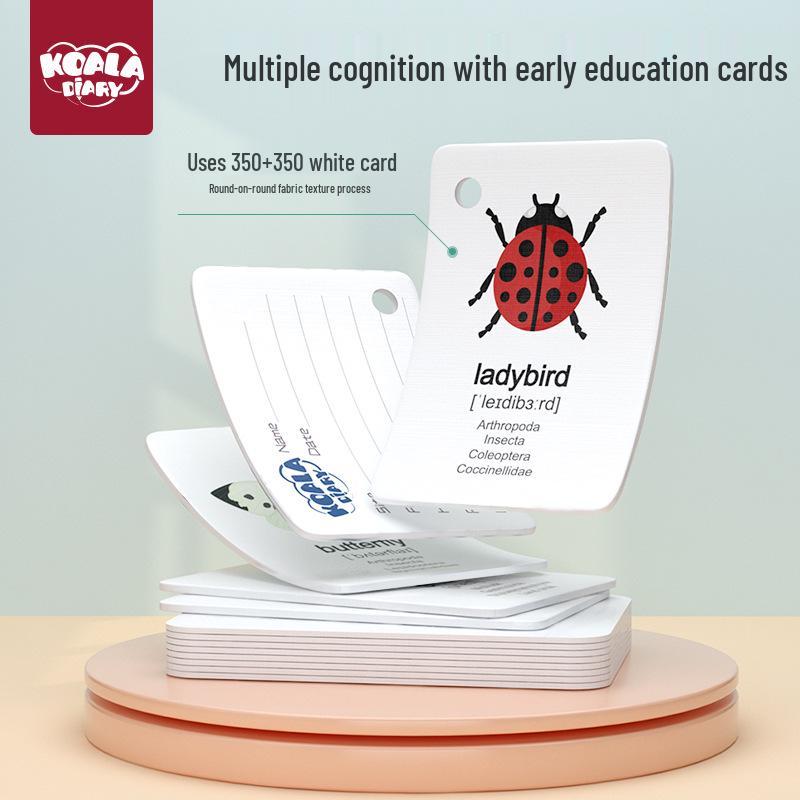 Science Experiment Kit: Insect Observation Box with Magnifying Glass & Animal Catcher