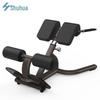 Shuhua SH-G8858 Commercial Back Extension Machine