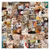 100 Pachete Emoticon Pisică și Câine Autocolante Graffiti Decorative Valiză Stilou Chitară Caiet DIY Autocolante Impermeabile
