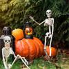 1/2/3pcs Halloween Posable Skull Skeleton Skeleton Human Bones for Halloween Party Home Decoration Haunted House Horror Props