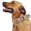 Wear-resistant Adjustable Pets Collars Tactical Dogs Collar Shepherd Training Rope Dog Accessories