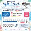 [KOKO Lure] Seabass Lure Flounder Jig Head Set of 5