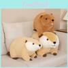 Adorabile Castoro di Peluche Realistico Morbido Animale Cuscino da Coccolare Regalo Per Bambini
