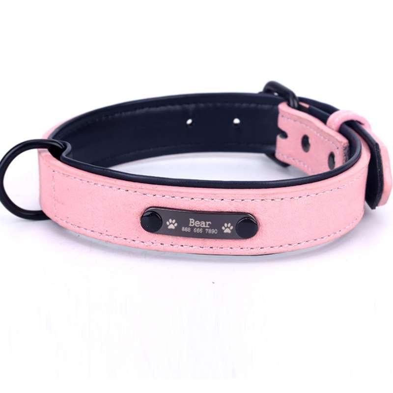 branded dog collars