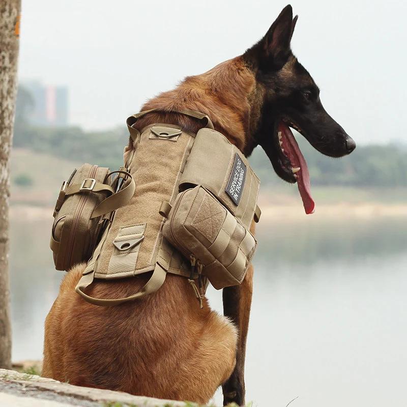 Taktisches Molle-System Medizintasche Jagd für Hundegeschirr 1000D Utility EDC Werkzeug Zubehör Hüfttasche Pack Handytasche Airsoft