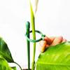 5pcs 30/60/90cm plant Flower Potted Support stand tomato Climbing Holder Stake Stander Fixing Tool Garden for Orchid Bonsai a1