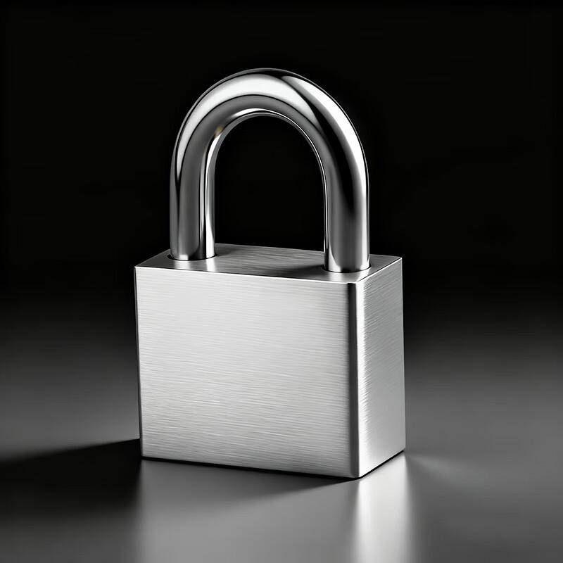 AUBURN 304 Stainless Steel Padlock