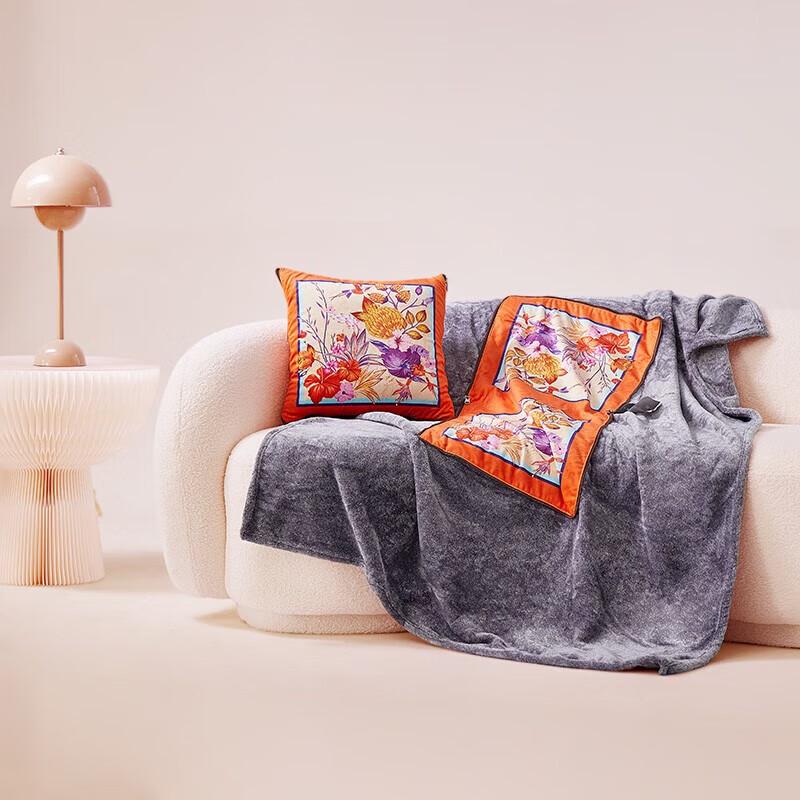 ZMN French Woodpecker Decorative Pillow Blanket